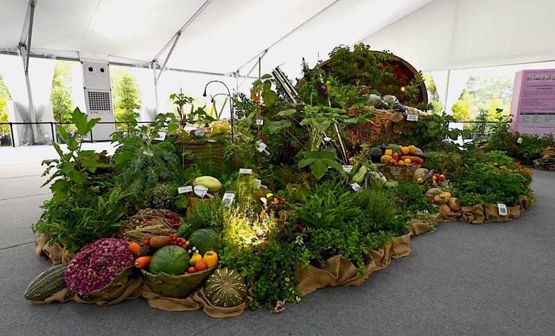 Community Garden Edibles Competition 2022